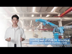 Verimli Kargo Elleçleme için 9T16.3M Gemi Panosu Vinci